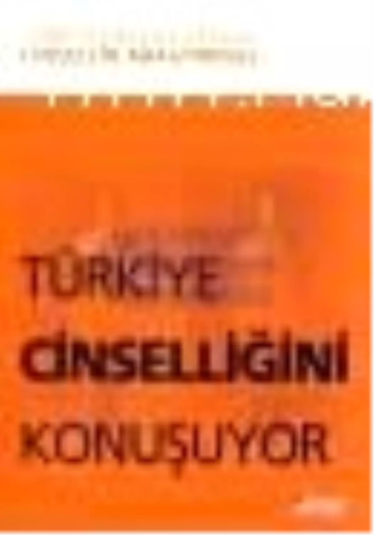 Türkiye Cinselliğini Konuşuyor Türkiye\'nin En Kapsamlı Cinsellik Araştırması Kitabı