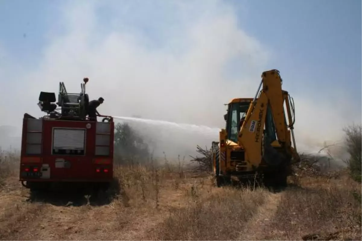 Alevler 15 Hektar Ormanı Küle Çevirdi