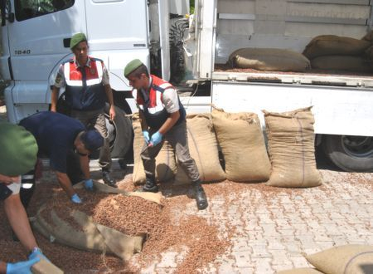 Fındık Kabuğu Yüklü Tırla Uyuşturucu Sevkiyatı