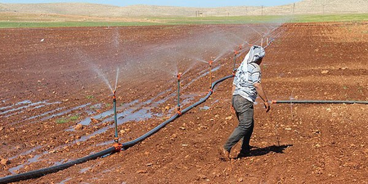 Güneydoğu\'da Toplulaştırma Arazi Fiyatlarını Artıracak