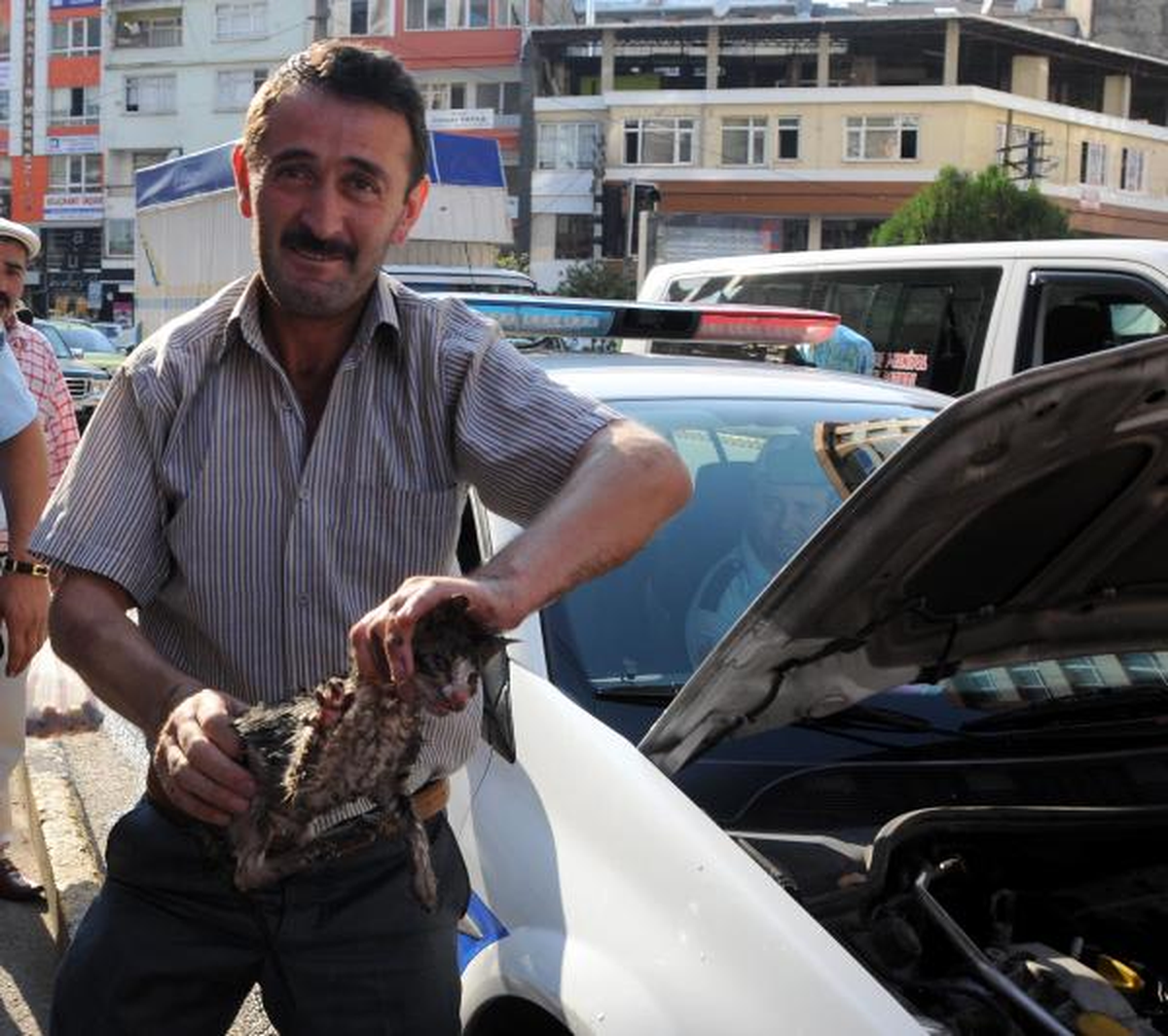 Polis Aracında Sıkışan Kedi, Güçlükle Kurtarıldı
