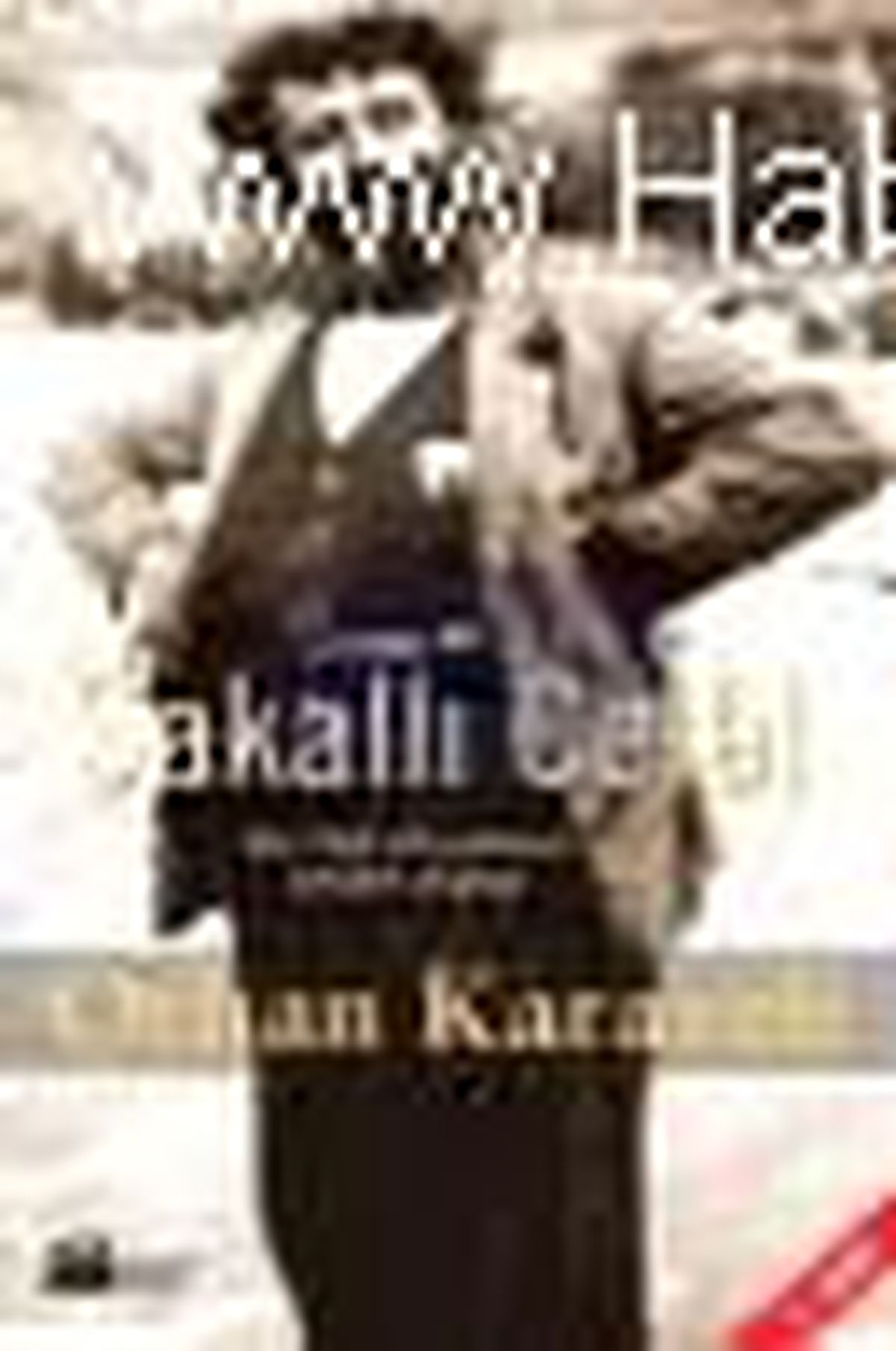 Sakallı Celal Kitabı