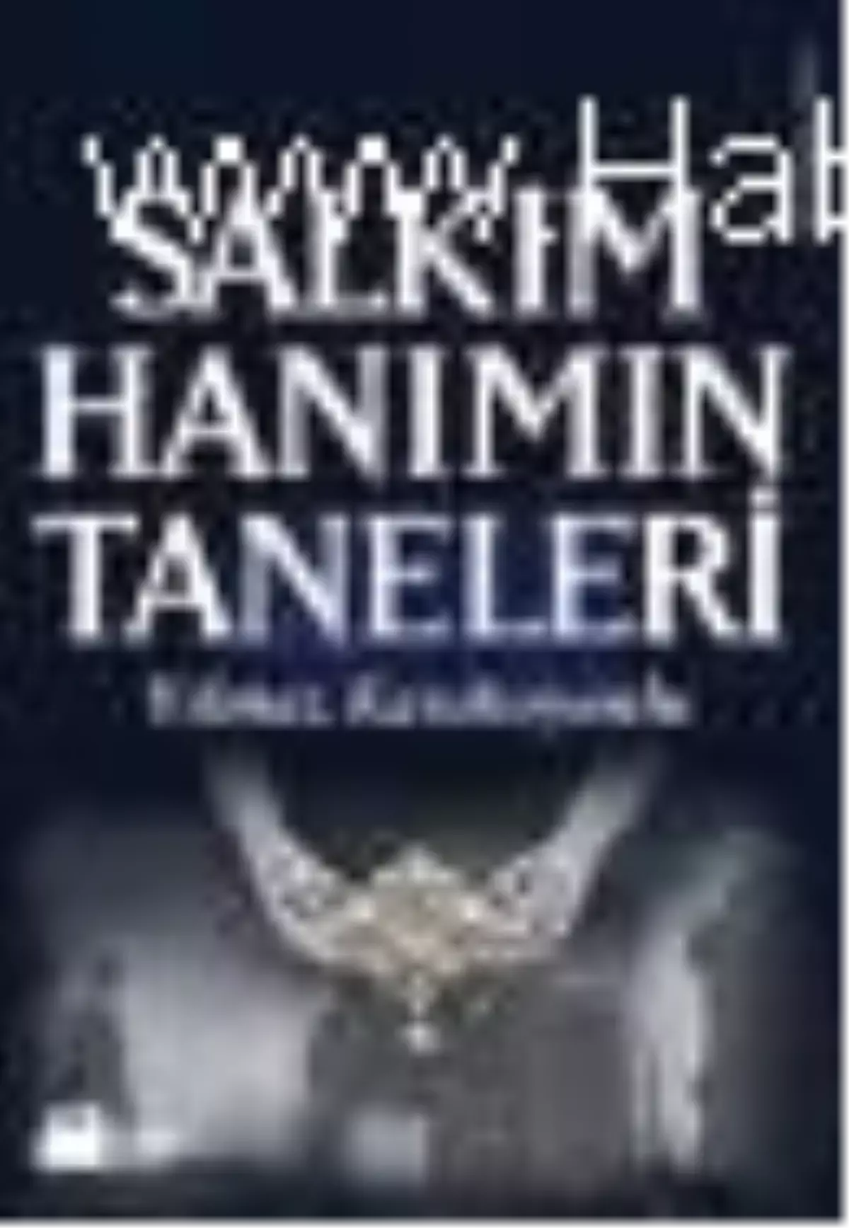 Salkım Hanım'ın Taneleri Kitabı