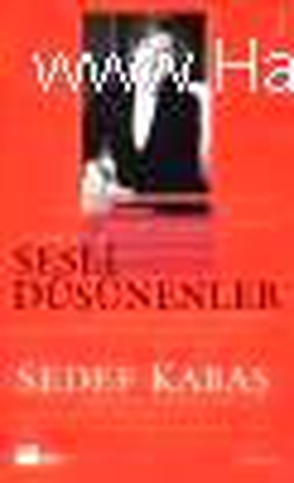 Sesli Düşünenler Kitabı
