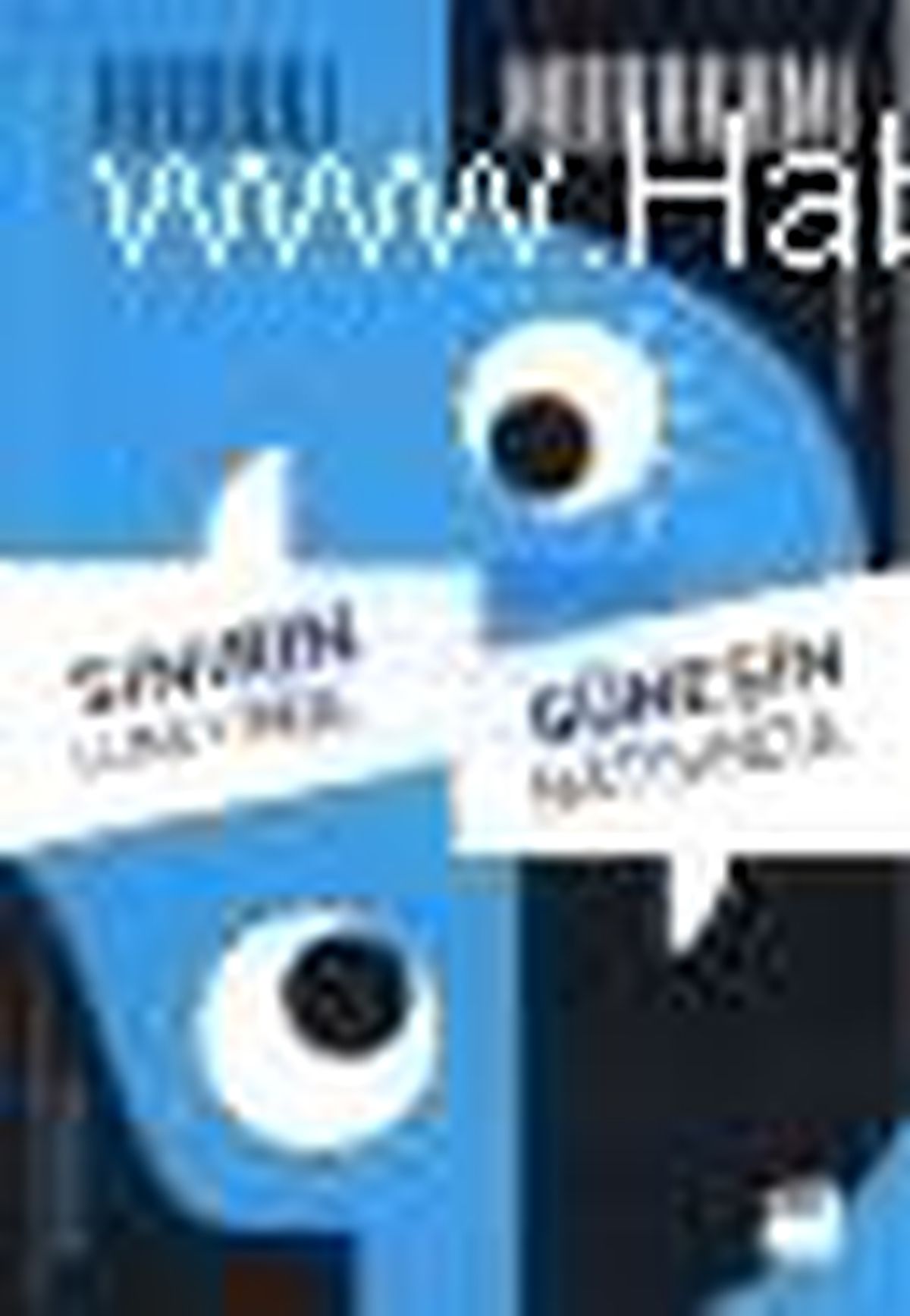 Sınırın Güneyinde, Güneşin Batısında Kitabı