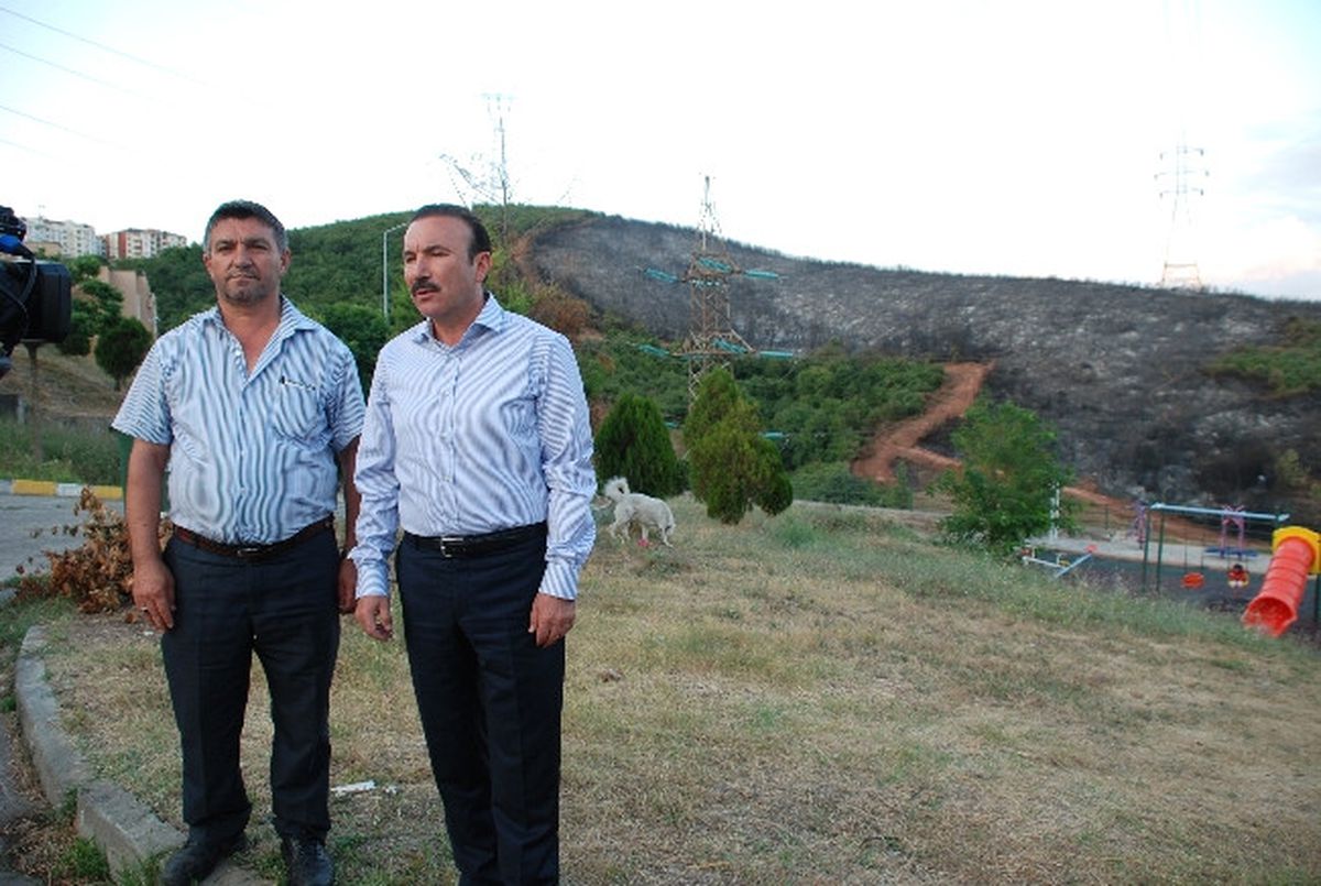 Başkan Doğan: "Yanan Alan Yeniden Orman Olacak"