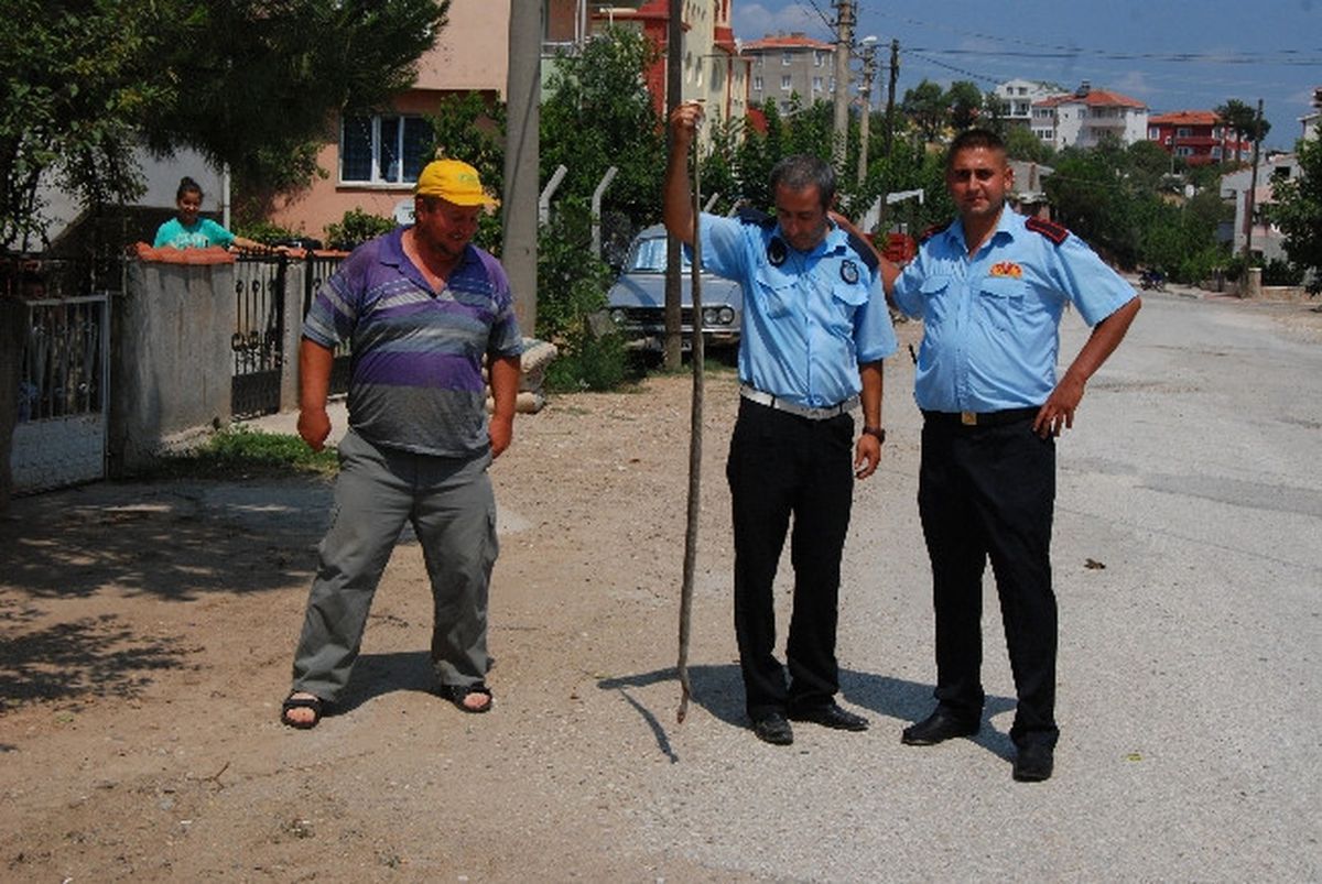 Bayramiç\'te Yılan Operasyonu