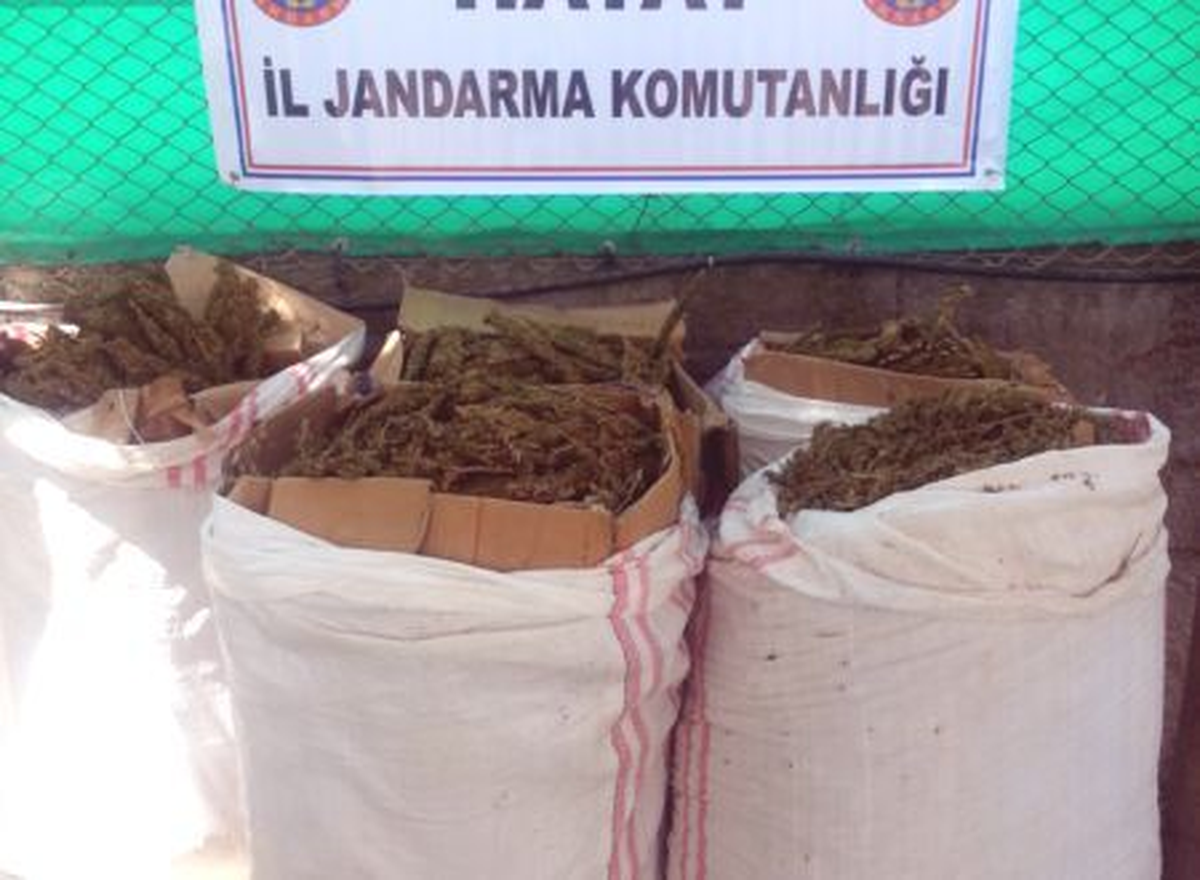 Hatay\'da Kamyonda 67,5 Kilo Esrar Bulundu
