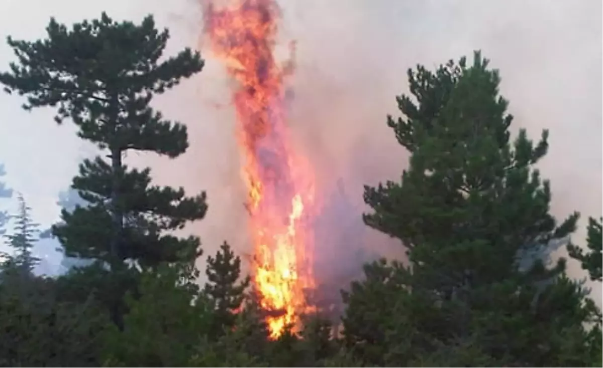 Karaman'da Orman Yangını