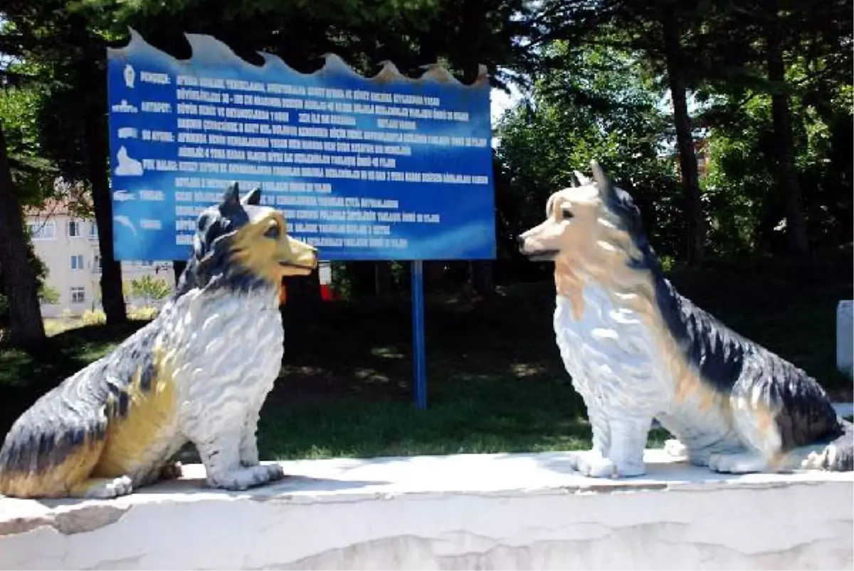 Kayseri'de Yapay Hayvanat Bahçesi Büyük İlgi Gördü