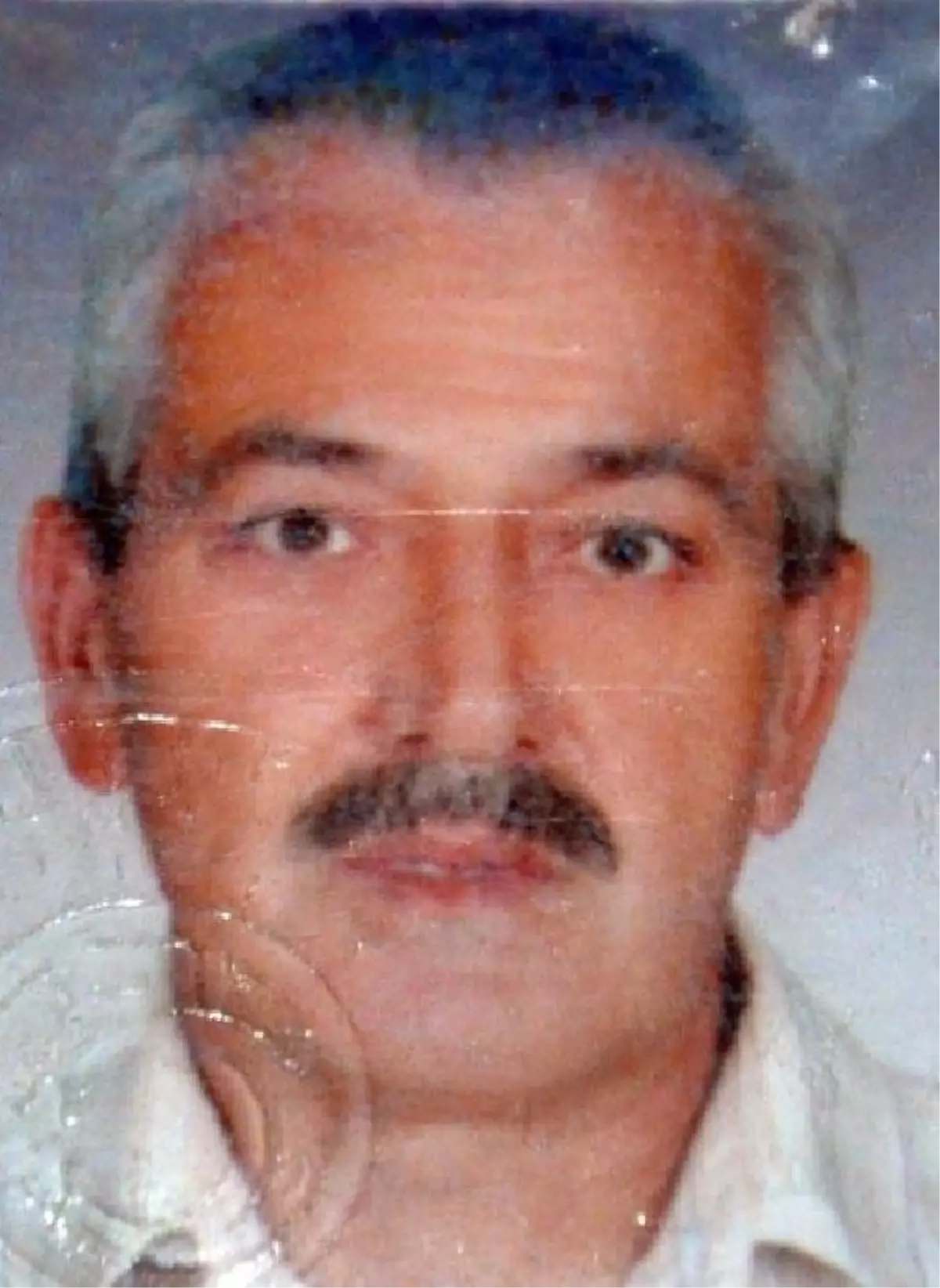 Kestiği Ağacın Altında Kalarak Öldü