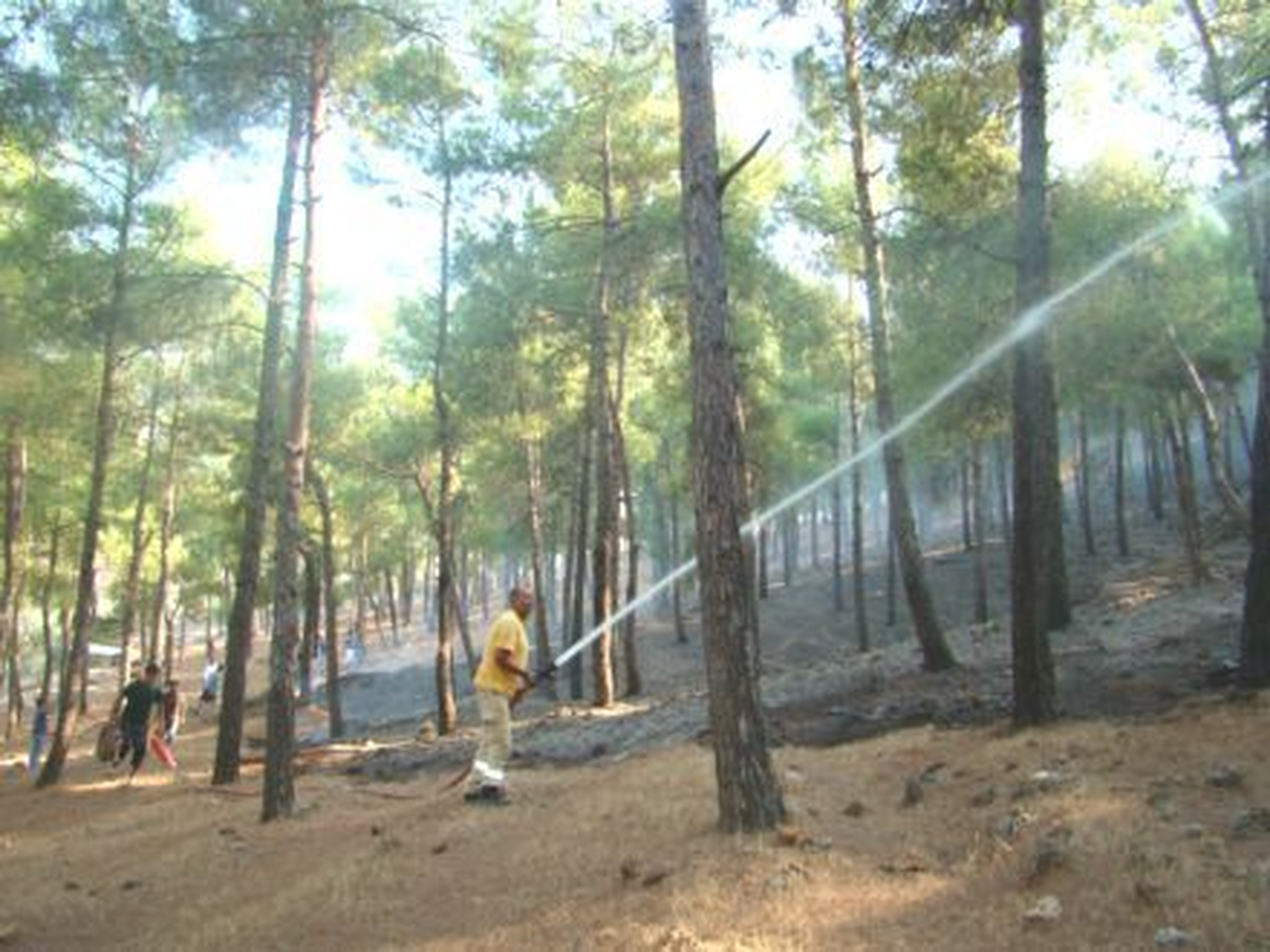 Kırıkhan\'da Orman Yangını