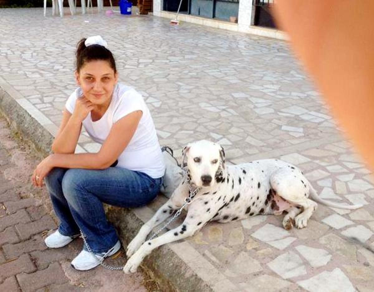 Köpeğini Bulana Para Ödülü Verecek