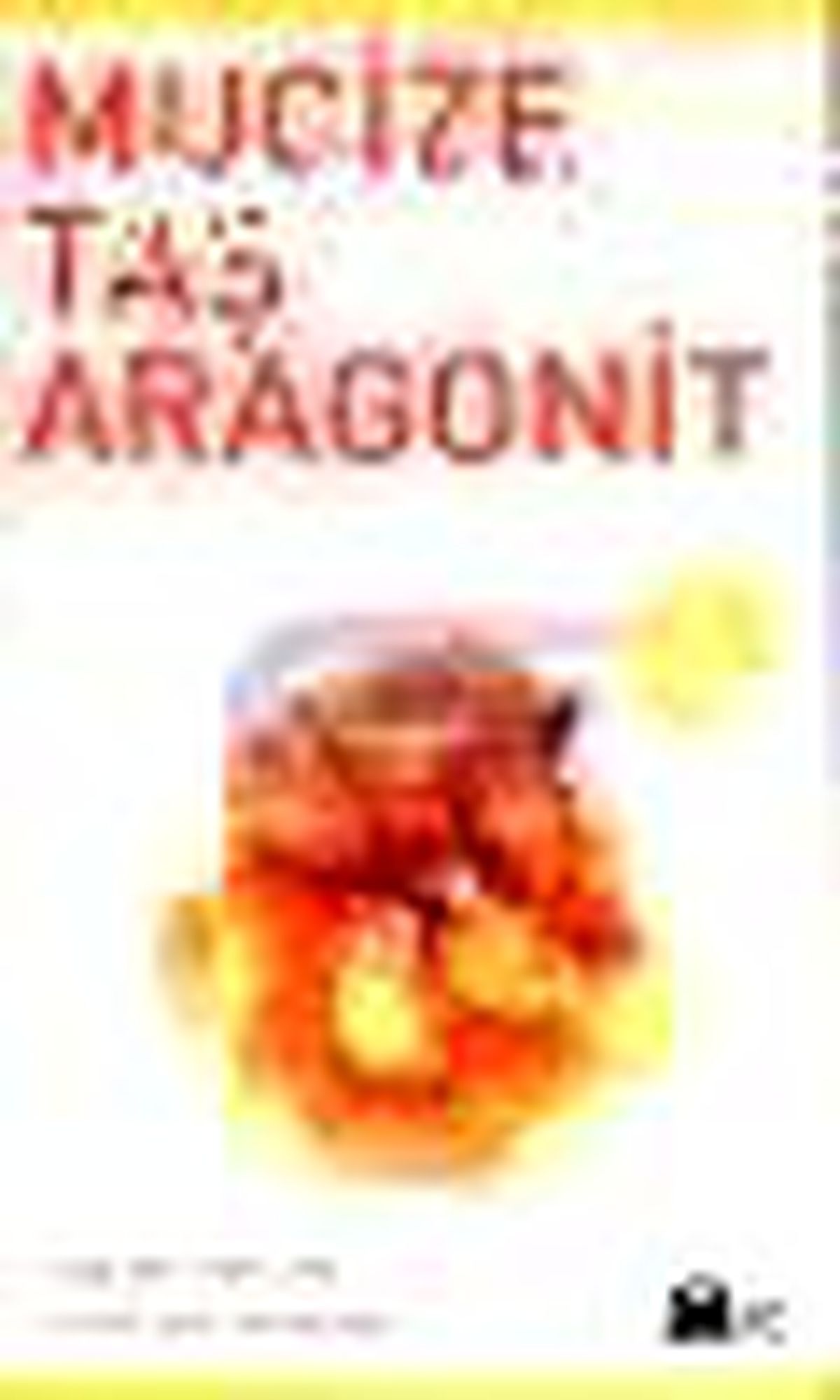 Mucize Taş Aragonit Kitabı