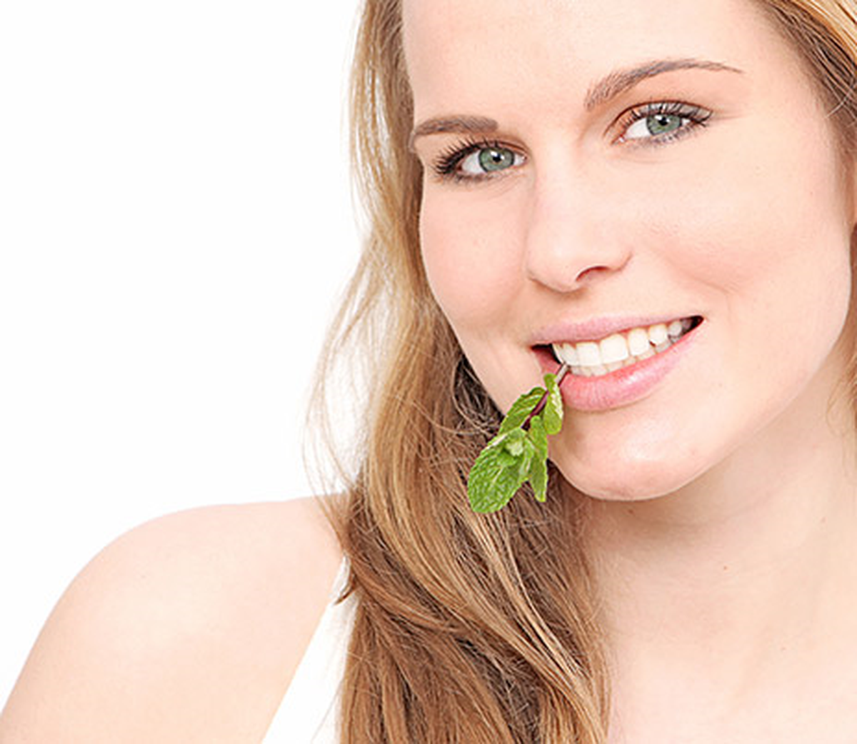 Nane Yaprağı Mideye İyi Geliyor