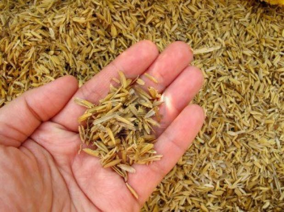 O da sonunda pile girecek!