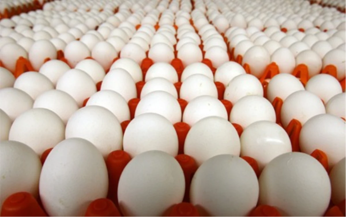Ukrayna Yumurtada Fiyat Kırdı, Türkiye\'nin İhracatı Geriledi