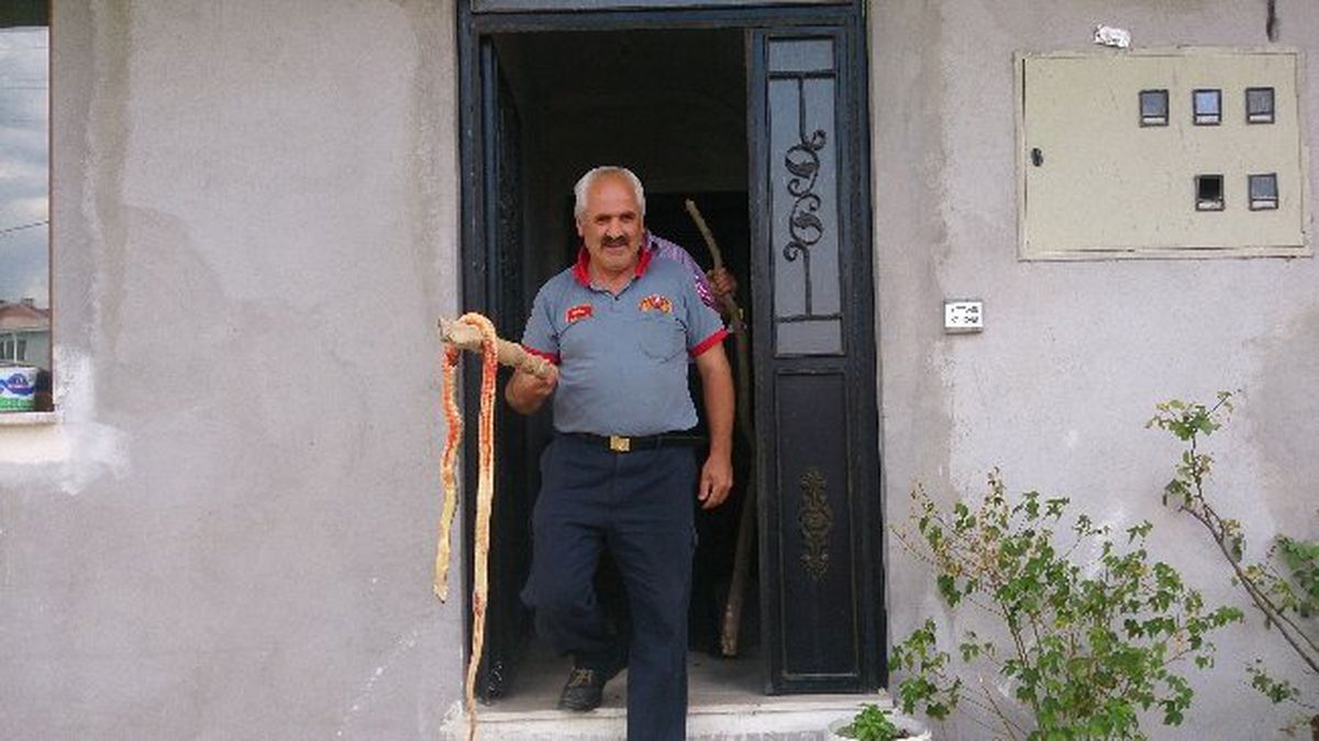Zehirli Yılan Dehşeti