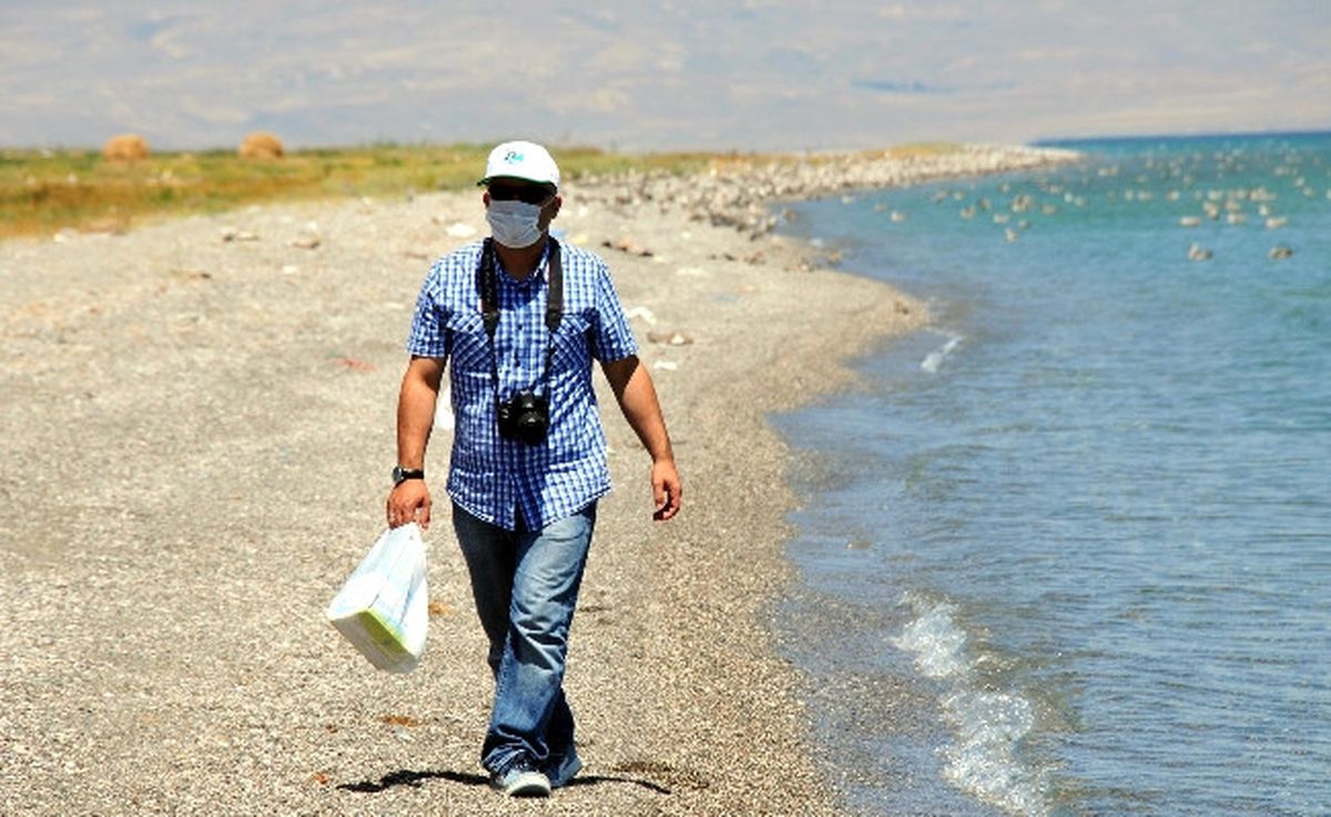 Adır Adası\'nda Kuş Ölümleri