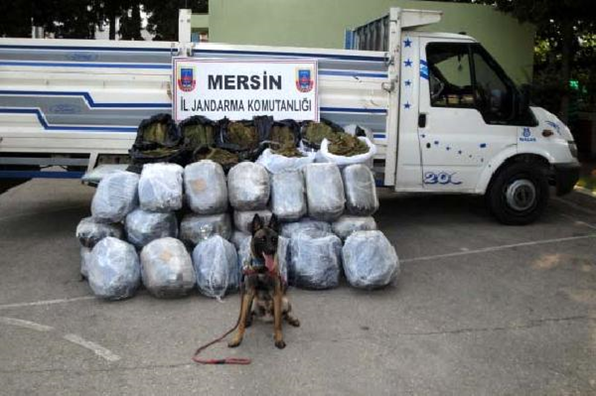 \'Badi\', 150 Kilo Esrara Geçit Vermedi