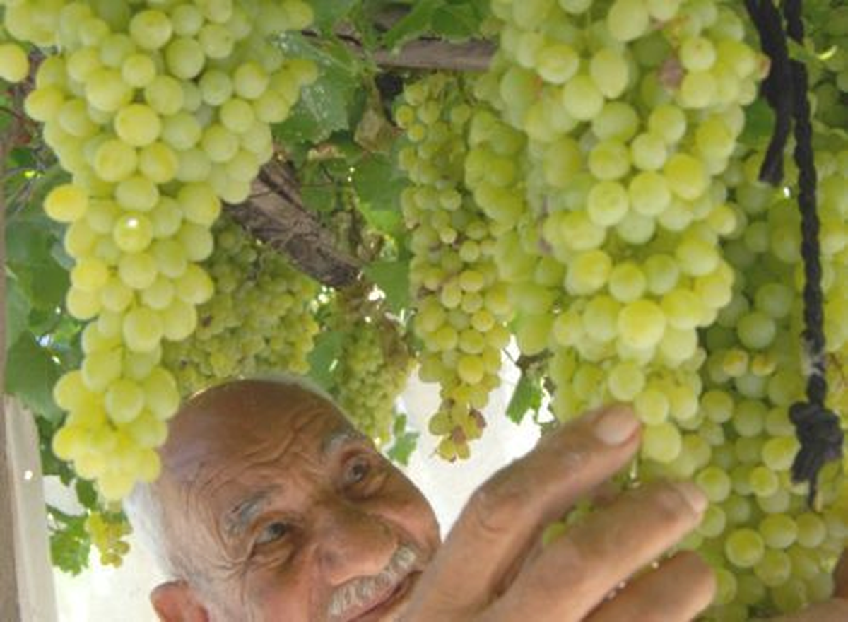 Gaziantep\'ten Kısa Kısa