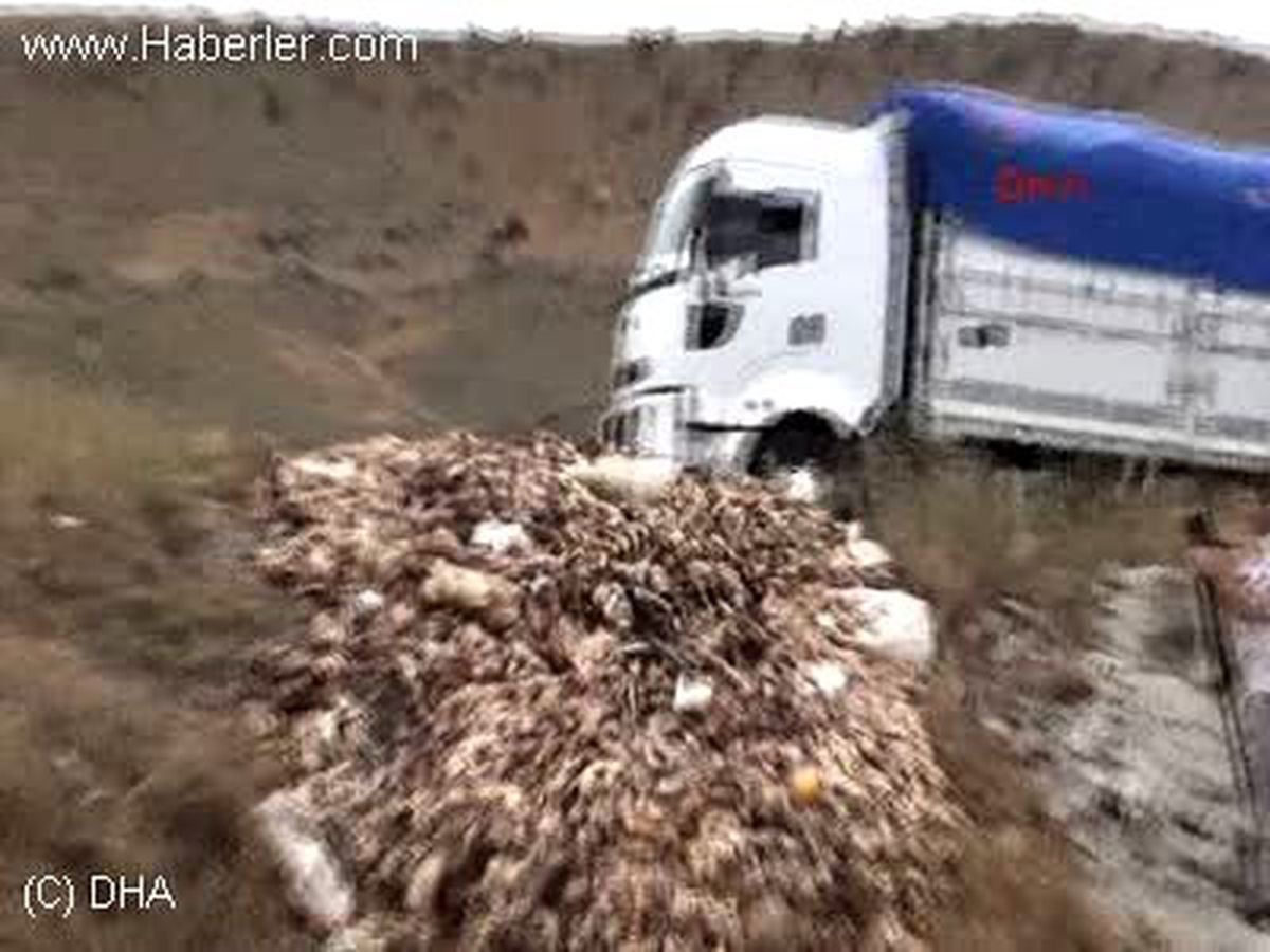 Kırıkkale de Kaçak Et Kesimi