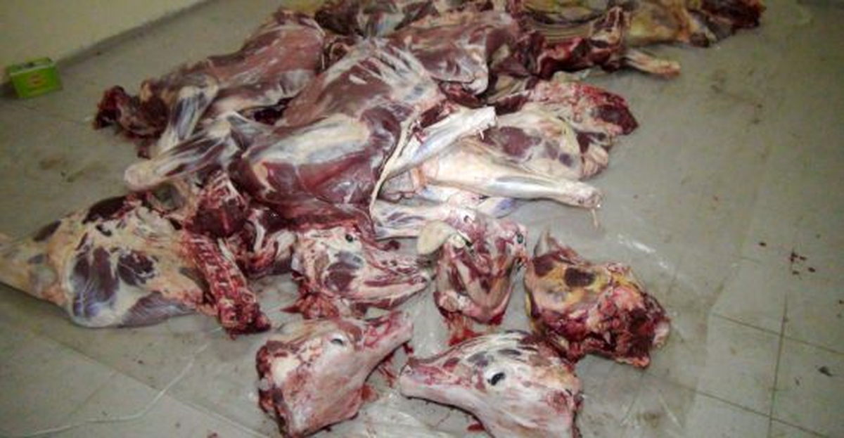 Kırıkkale\'de Kaçak Et Kesimi İddiası