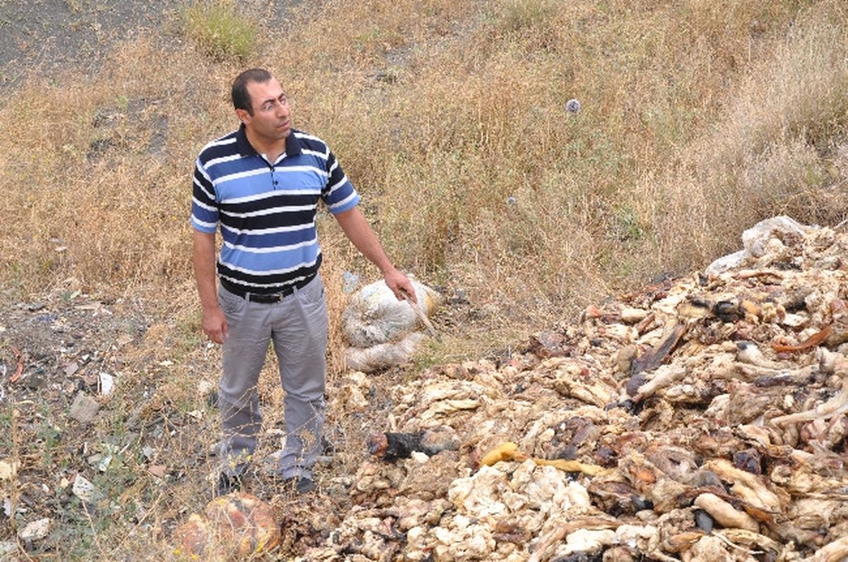 Kırıkkale\'de Kaçak Hayvan Kesimi İddiası
