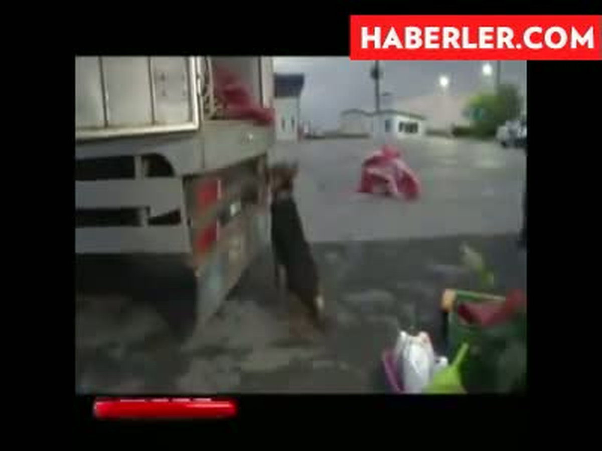 Konya\'da uyuşturucu nakli \'Ares\'e takıldı