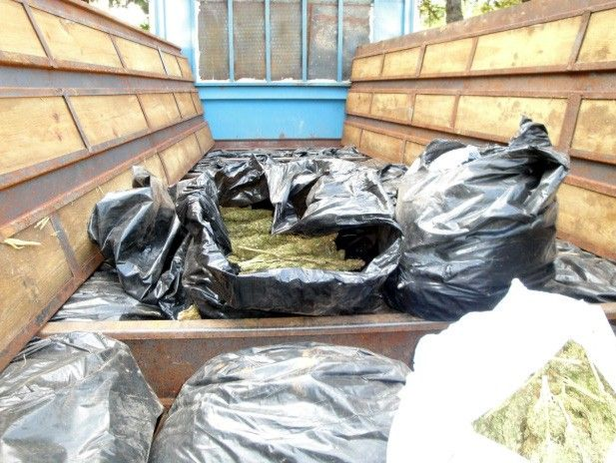 Mersin\'de 150 Kilogram Esrar Ele Geçirildi