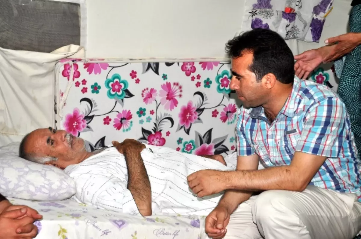 Mülteciler, Gecede Unutulmuyor