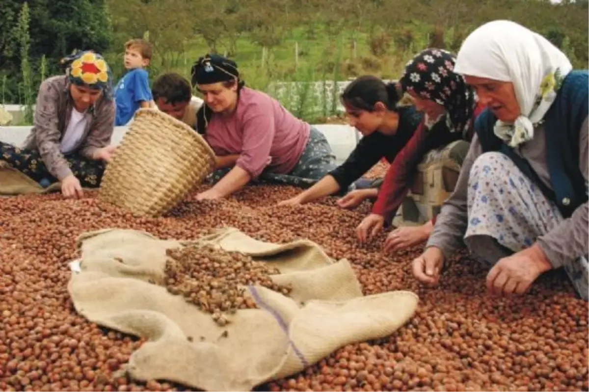 Üreticilere Verilen Destekleme Ödemeleri