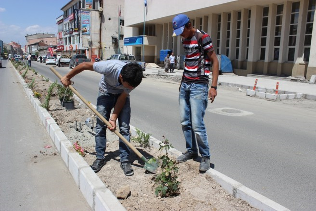 Ağrı\'da Caddelerin Refujları Çiçeklendiriliyor