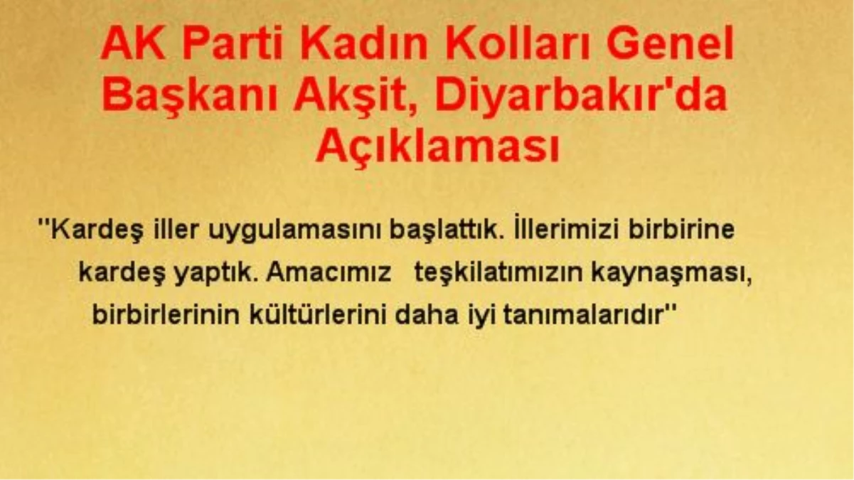 AK Parti Kadın Kolları Genel Başkanı Akşit, Diyarbakır\'da Açıklaması