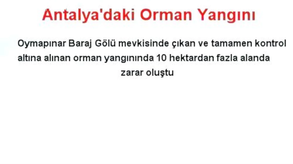 Antalya\'daki Orman Yangını