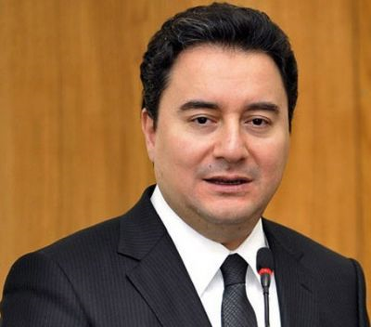 Başbakan Yardımcısı Babacan, Soruları Yanıtladı