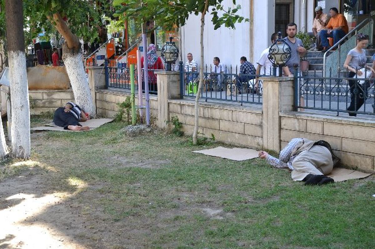 Çareyi Gölgede Uyumakta Buldular