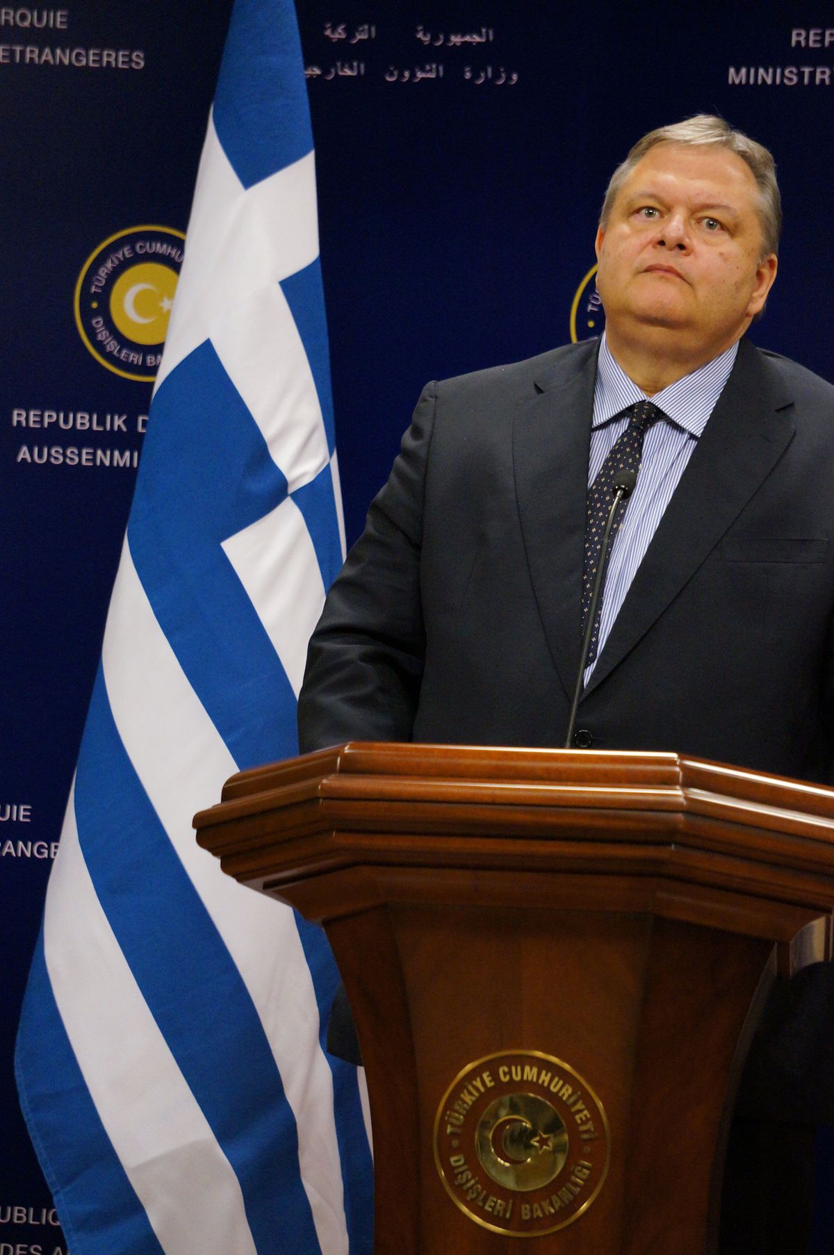Davutoğlu-Venizelos Ortak Basın Toplantısı (2)