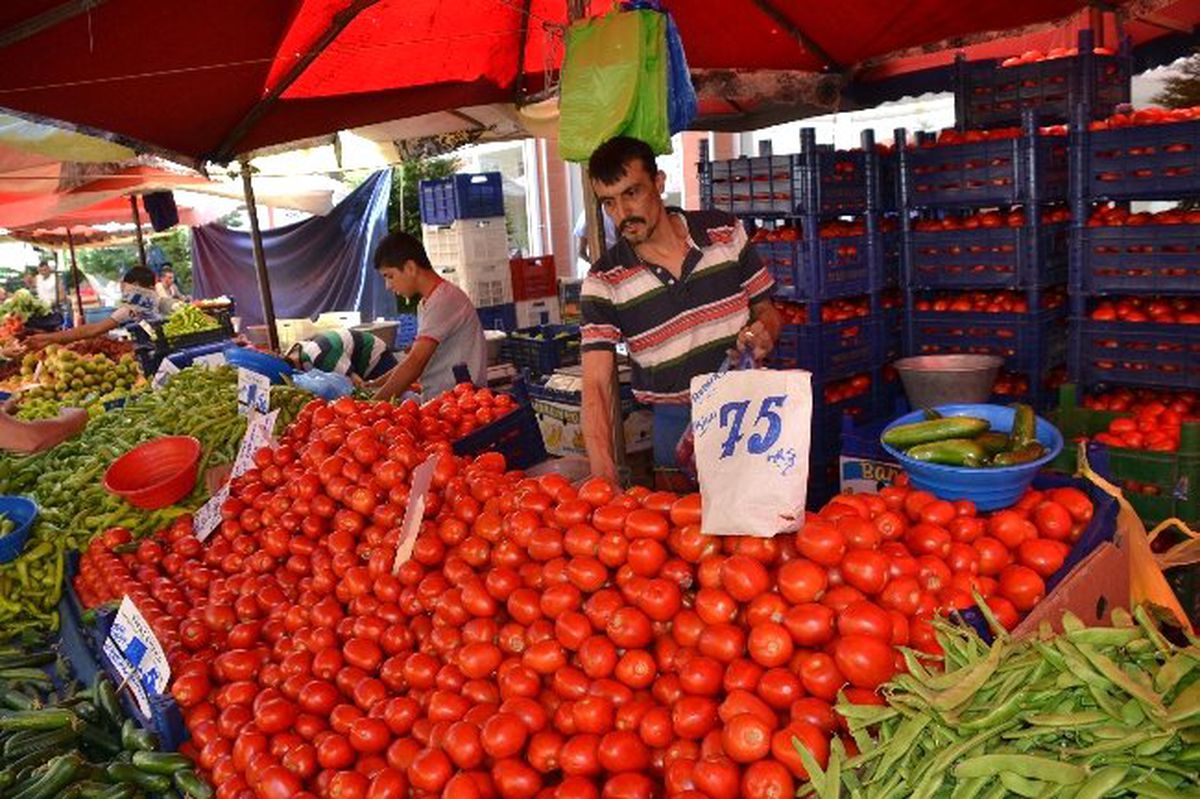 Domatesin Fiyatı Dibe Vurdu