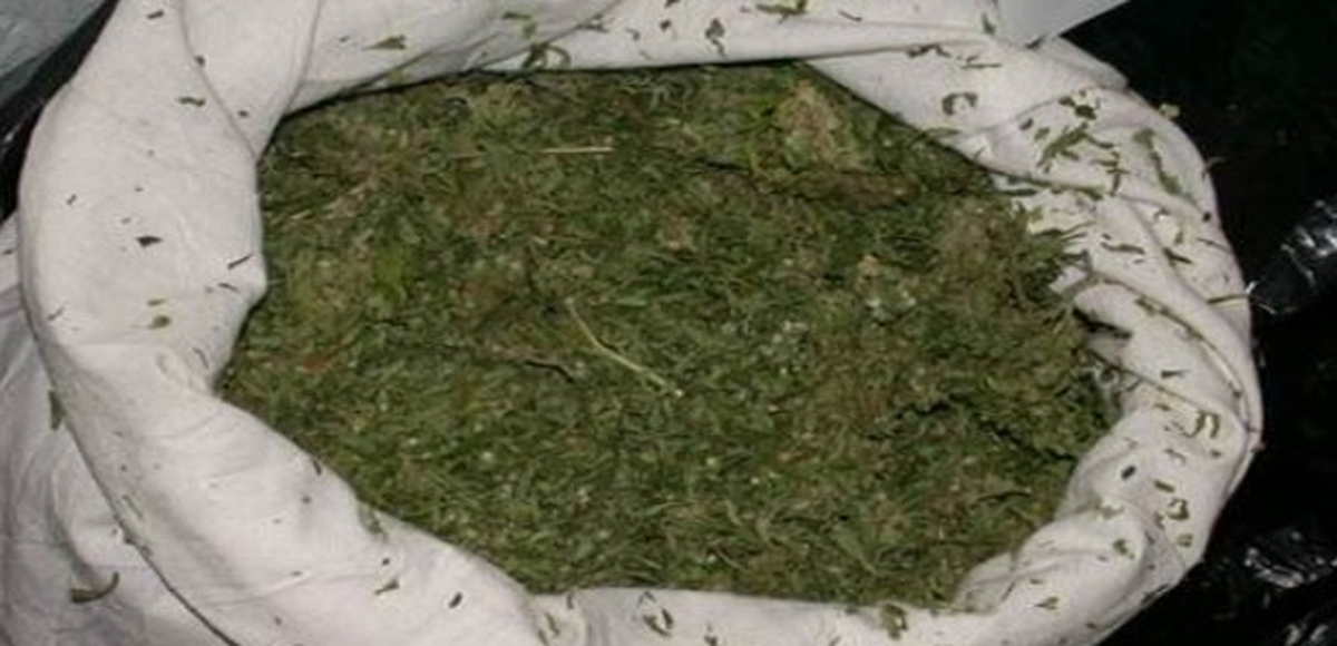 Elbistan\'da 12 Kilo Esrar Ele Geçirildi