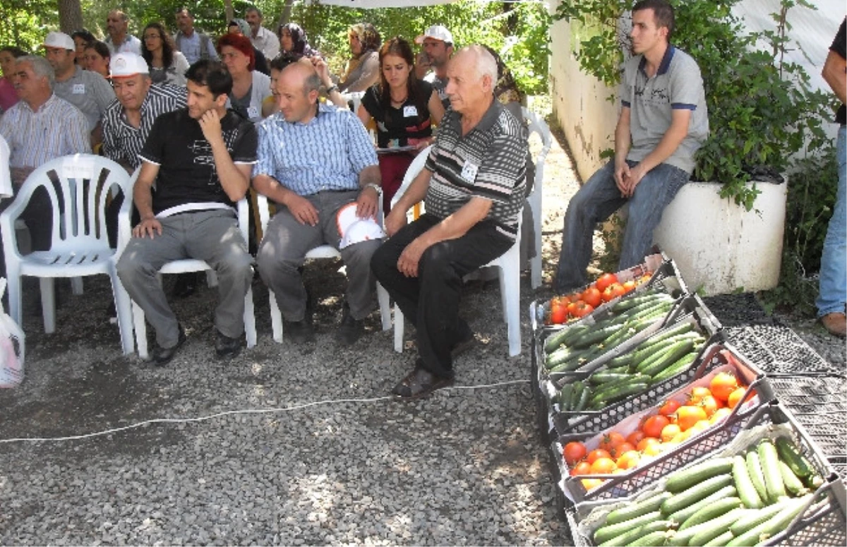 Erzurum\'da İyi Tarım Uygulamaları Tarla Günü ve Sertifika Dağıtım Töreni Yapıldı