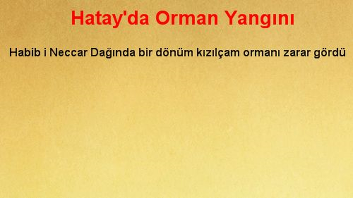 Hatay\'da Orman Yangını