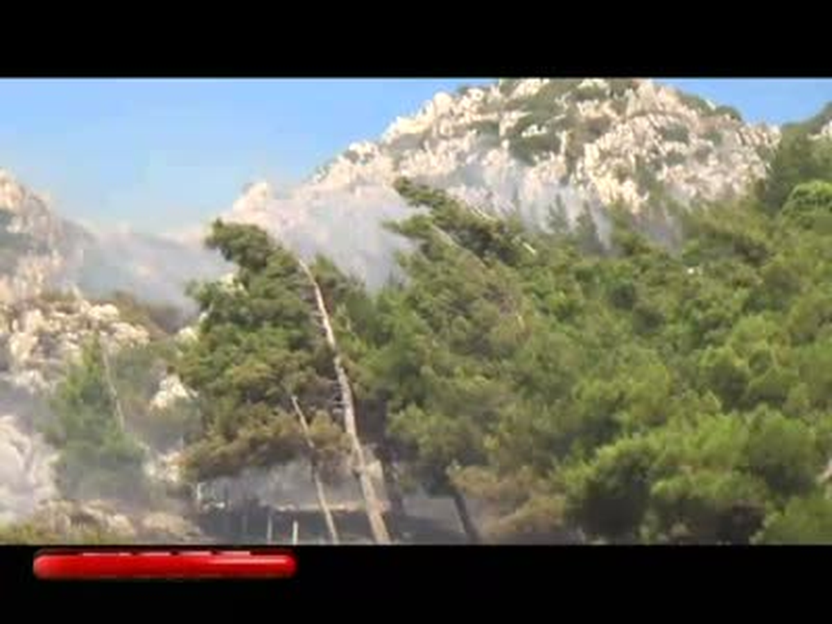 Hatay\'da Orman Yangını