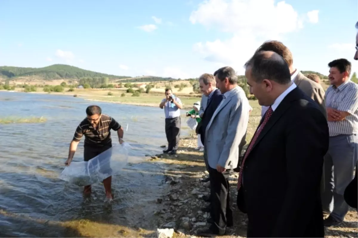 İç Suları Balıklandırma Çabası Sürüyor