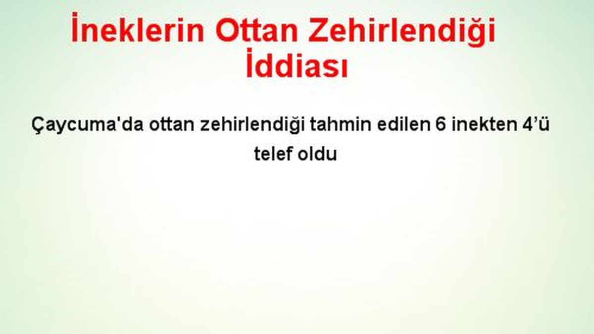 İneklerin Ottan Zehirlendiği İddiası