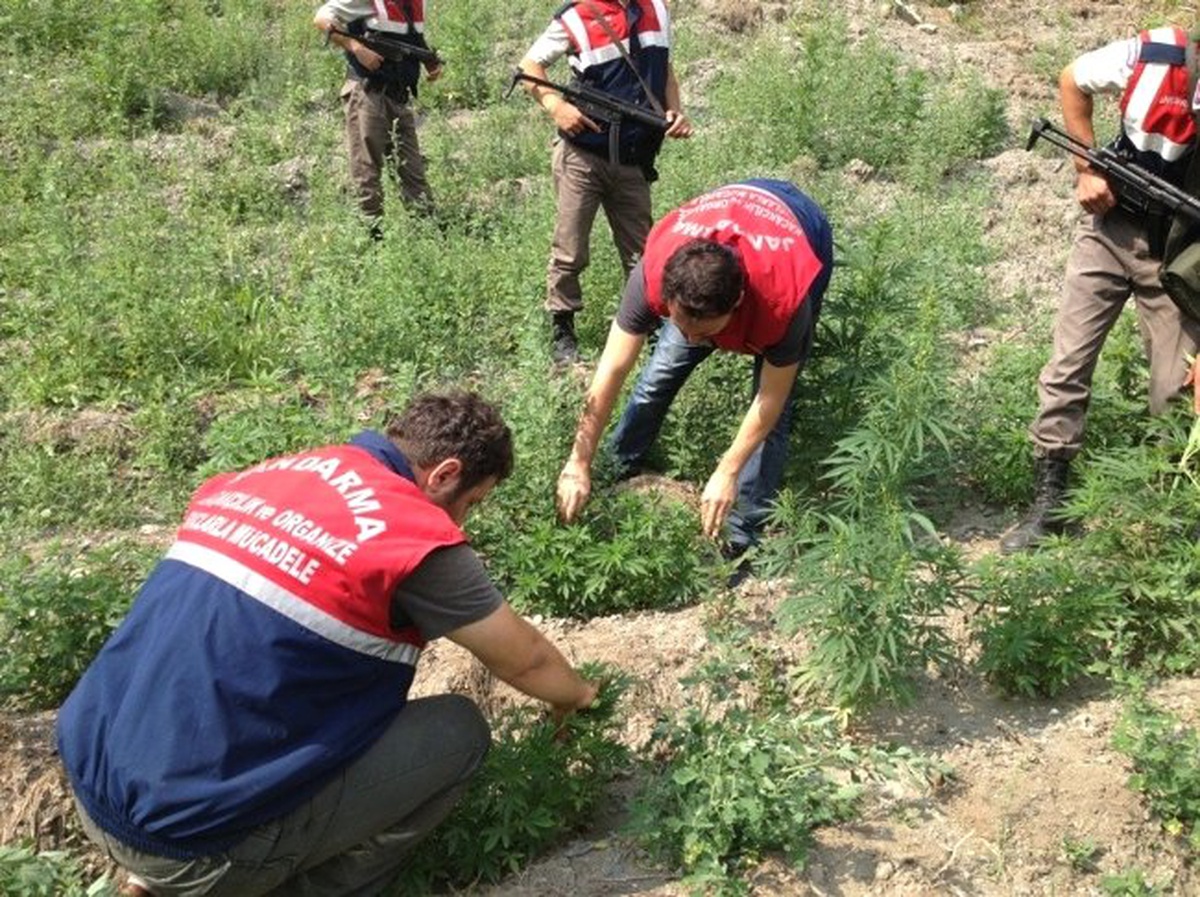 Jandarmadan Esrar Tacirlerine Geçit Yok