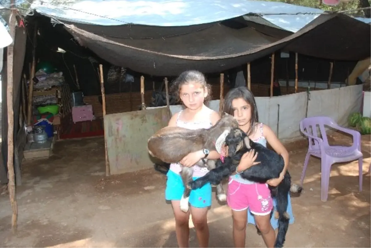 Kıl Çadırdaki Modern Yaşam