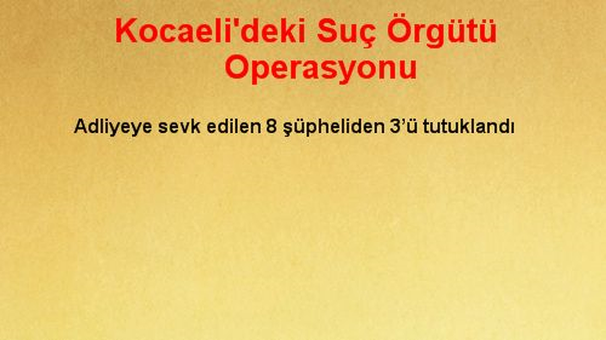Kocaeli\'deki Suç Örgütü Operasyonu