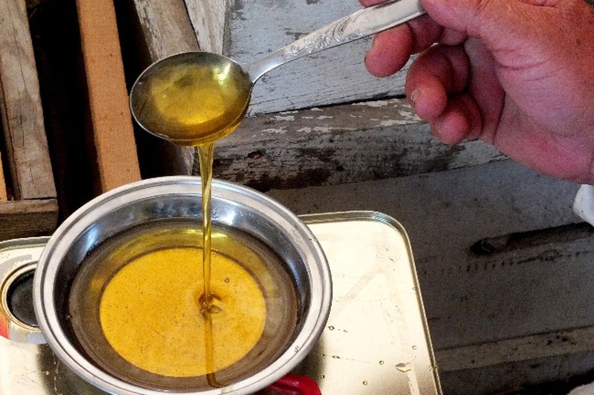 Tekirdağ Arı Yetiştiricileri Birlik Başkanı Ada ;" Ayçiçeği Balı Kendine Özgü Rengi Tadı ve Aroması...
