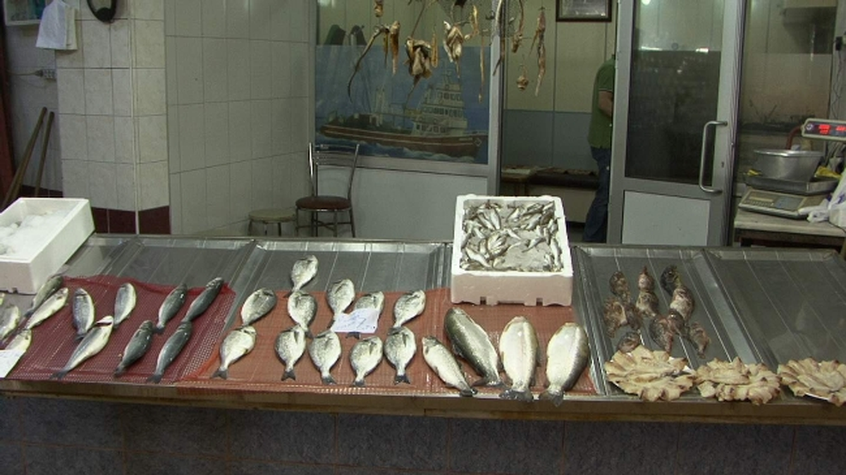 Zonguldaklı Balıkçılar Ramazan\'ı Yatarak Geçiriyor